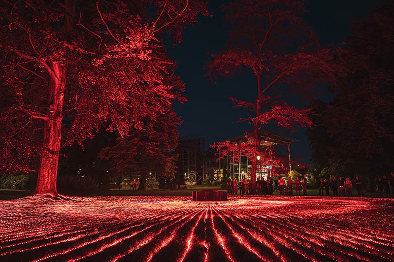 SYNC by Ksawery Komputery, Biennale Gliwice 2025 #1